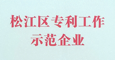 太阳集团获得【2020年松江区专利示范企业】